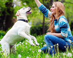 Dog and Woman in Field